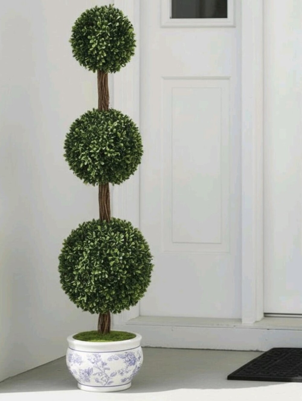 💕  New Topiary in  Decorative Agatha Blue & White Pot